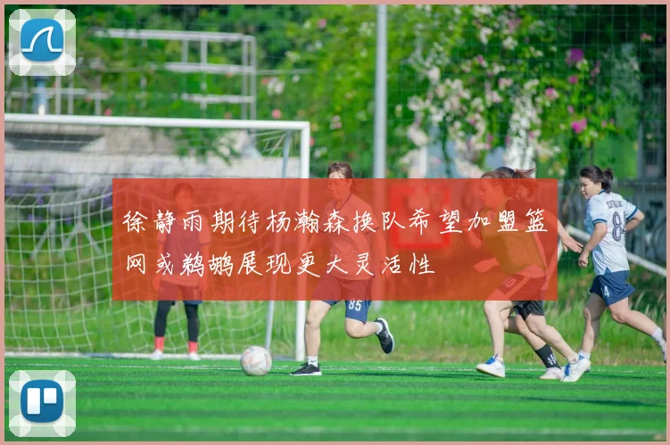 徐静雨期待杨瀚森换队希望加盟篮网或鹈鹕展现更大灵活性