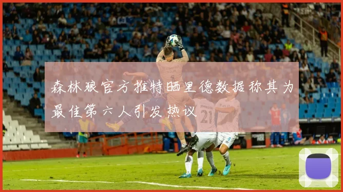 森林狼官方推特晒里德数据称其为最佳第六人引发热议