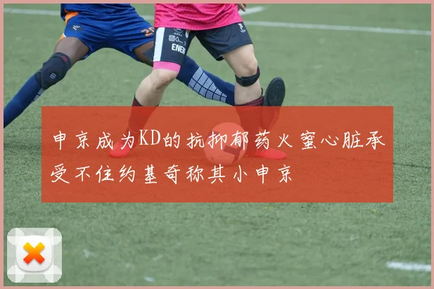 申京成为KD的抗抑郁药火蜜心脏承受不住约基奇称其小申京